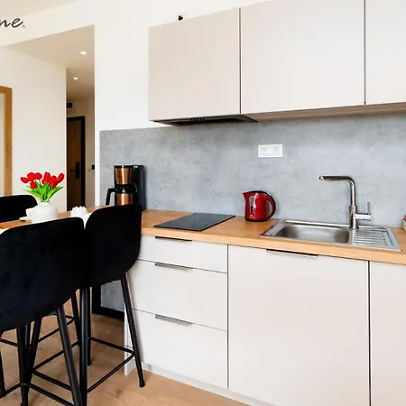 Karkonoski Loft, Blisko Centrum, Stoku I Restauracji Daire